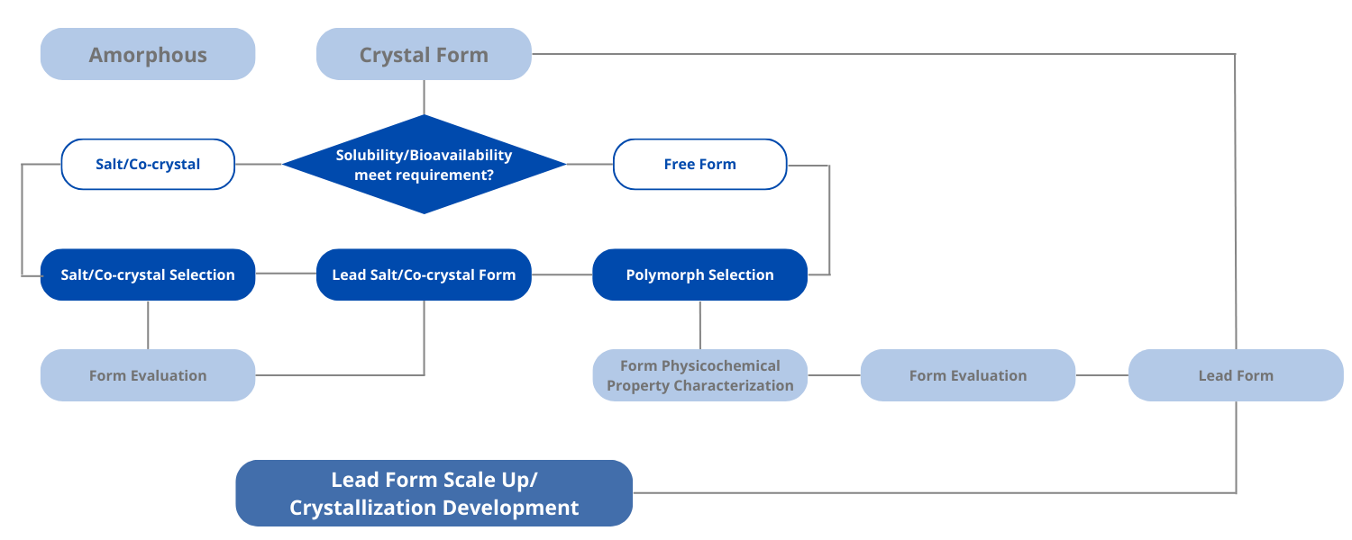 Solid Form Screening and Selection