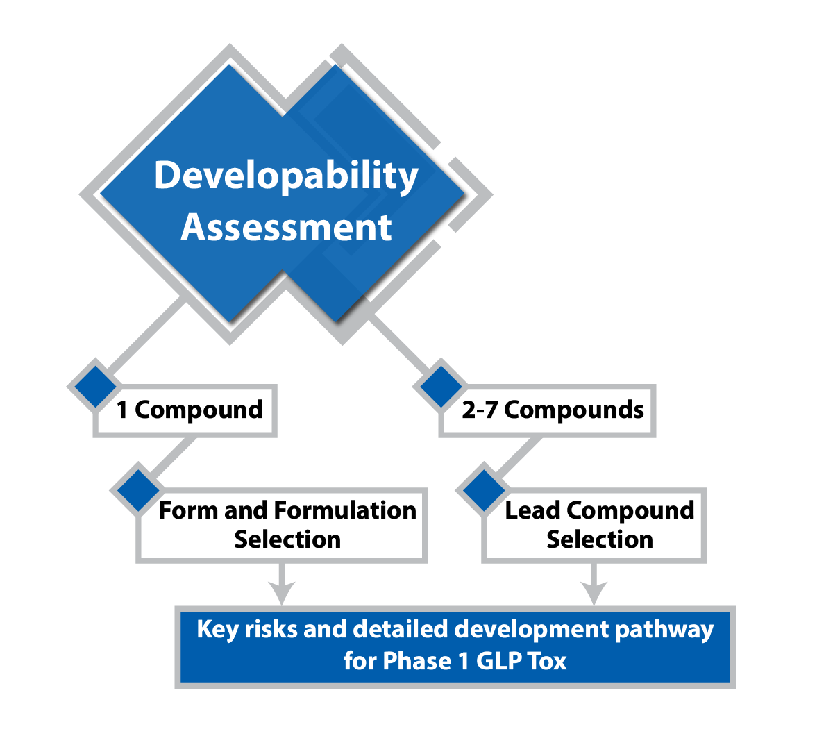 Mol2Med_Overview_Webpage_-_Design_Elements-02.png