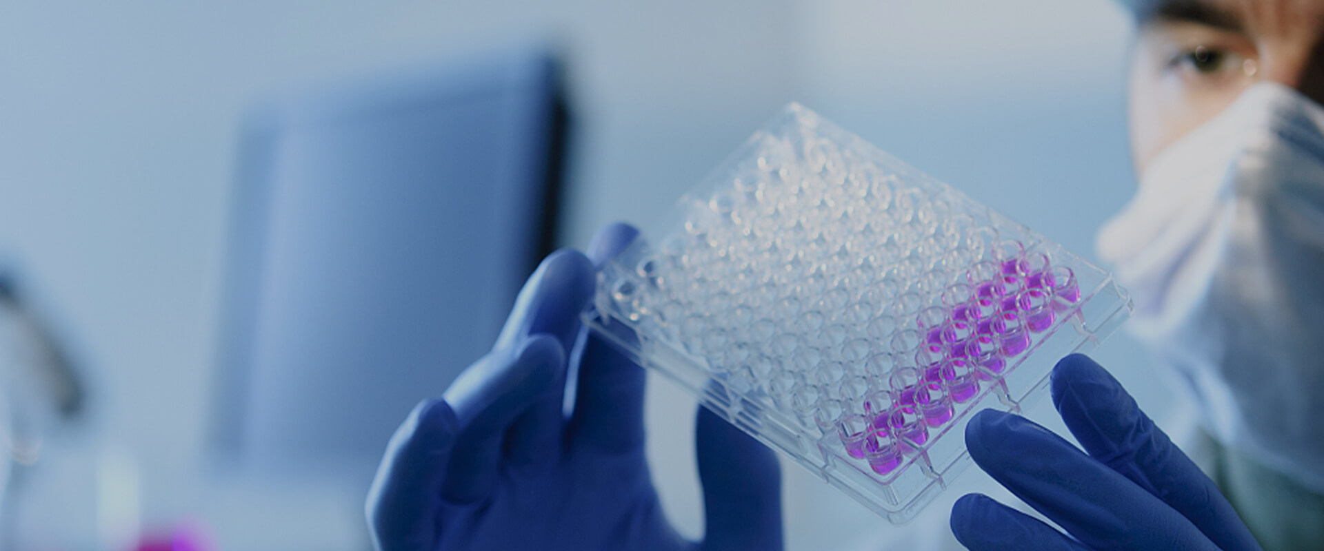 Analysis, Purification and Characterization of Impurities
