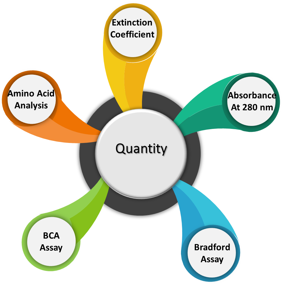 methods-for-quantity-measurement-of-biologics.png