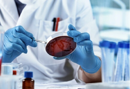 Inorganic Impurities