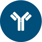 Biologics Analytical Services