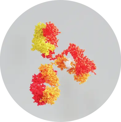 Compendial Methods applicable for Biologics
