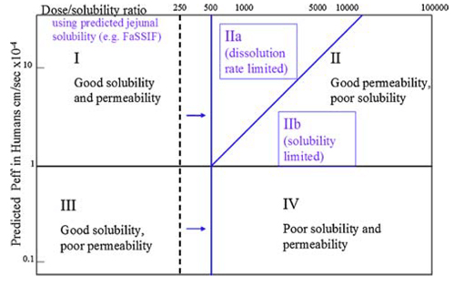 Unlock-Solubility-Enhancement-Methods-for-Poorly-Soluble-Oral-Drugs-1.jpg