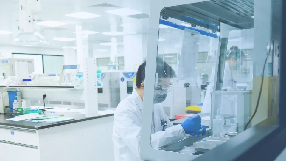 Achieve Phase I Success with Our Expertise