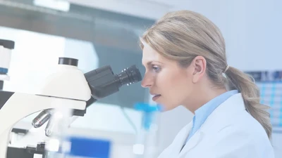 Developability Assessment