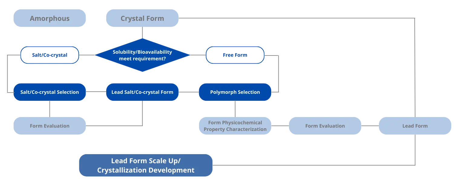 Solid Form Screening and Selection